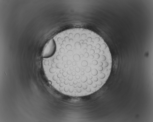 X0000115840666200912242018