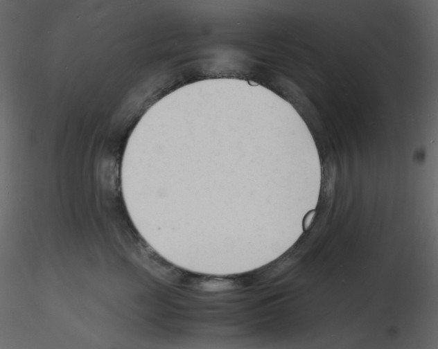 X0000115840669200912242018