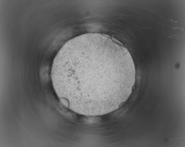 X0000115840670200912242018