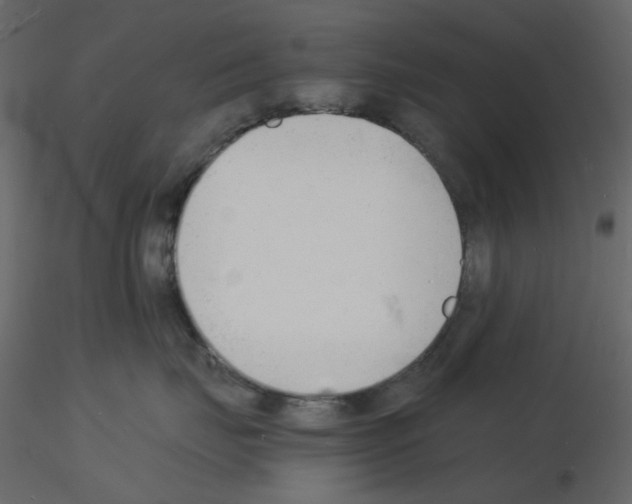 X0000115840671200912242018