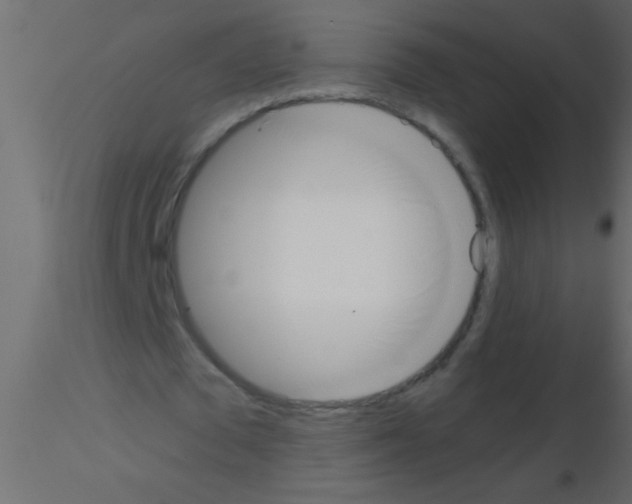 X0000115840673200912242017