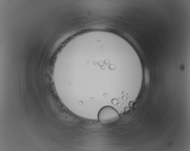 X0000115840675200912242017