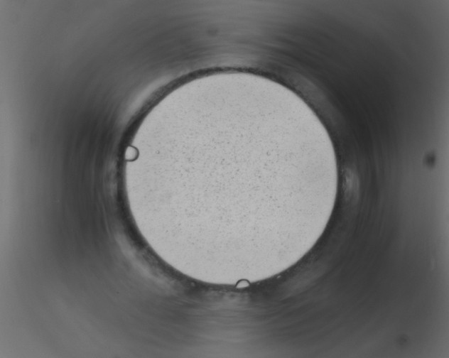 X0000115840676200912242017