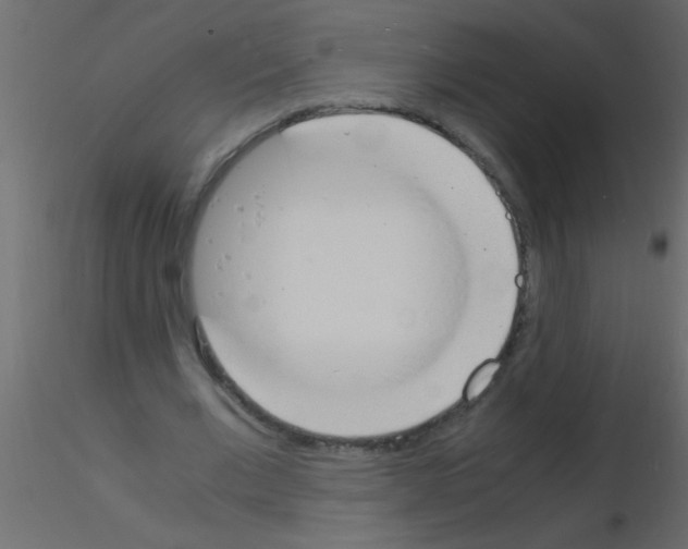 X0000115840677200912242017