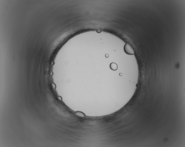 X0000115840679200912242017