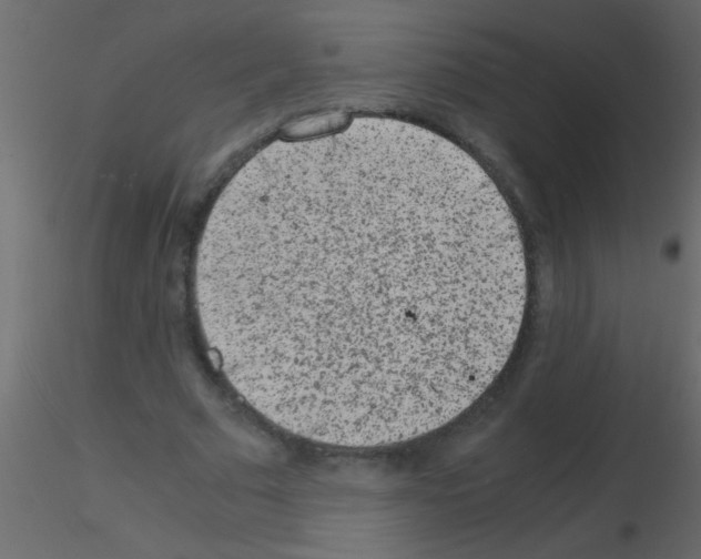 X0000115840681200912242017