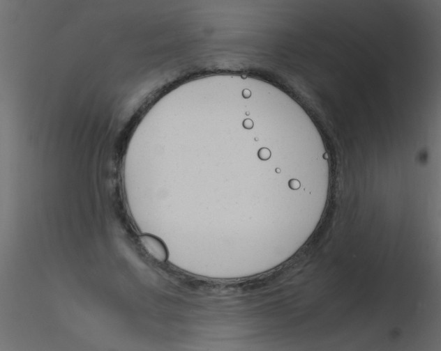 X0000115840683200912242017