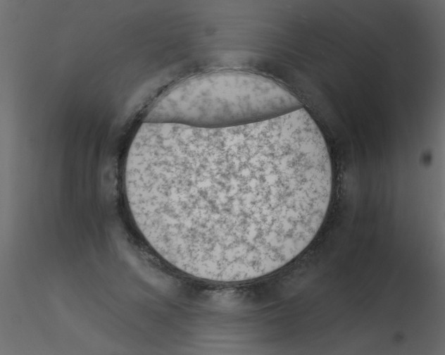 X0000115840688200912242017