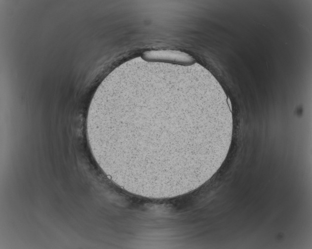 X0000115840689200912242017