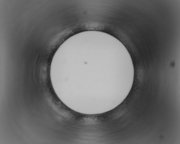 X0000115840690200912242017