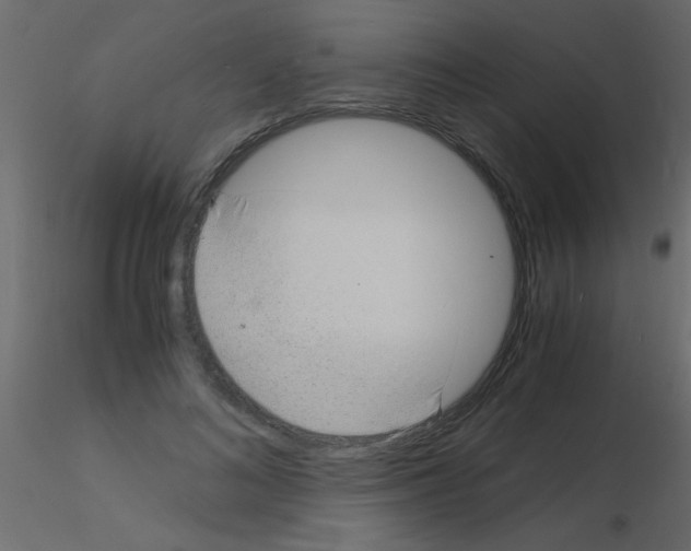 X0000115840692200912242017