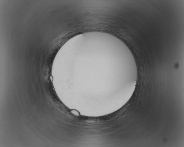 X0000115840693200912242017