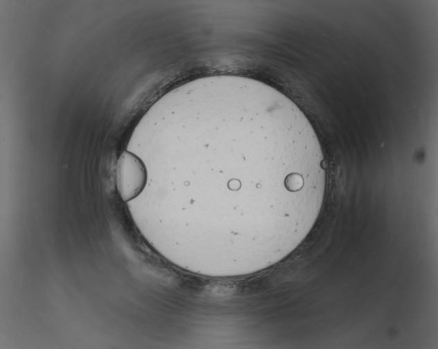 X0000115840694200912242017