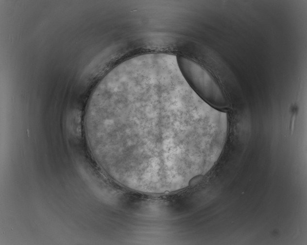 X0000115840696200912242017