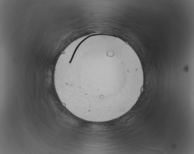 X0000115840697200912242017