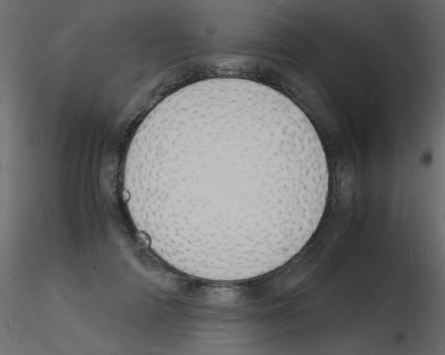 X0000115840698200912242017