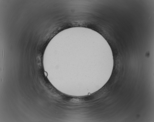 X0000115840699200912242017