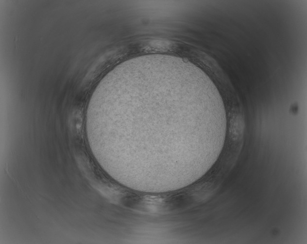 X0000115840701200912242017