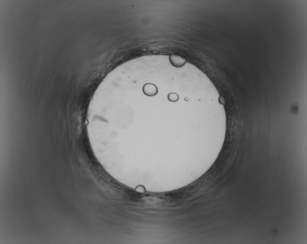 X0000115840703200912242017