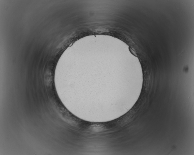 X0000115840704200912242017