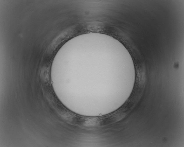 X0000115840705200912242017