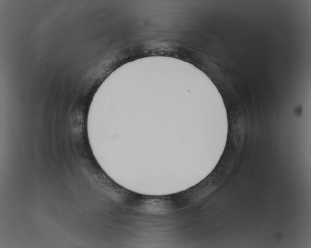 X0000115840708200912242017