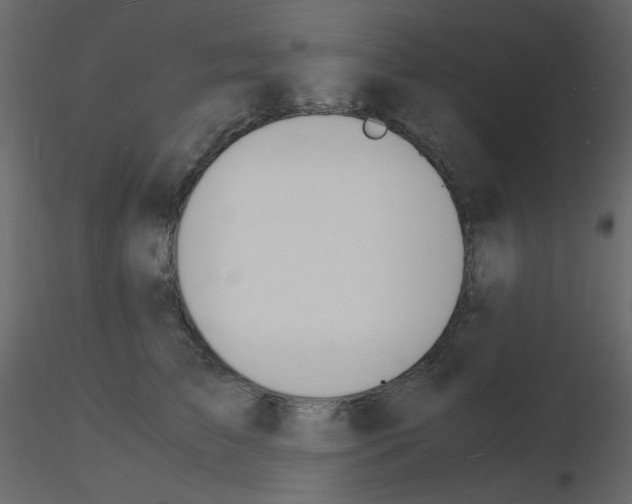 X0000115840709200912242017