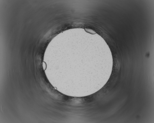 X0000115840711200912242017