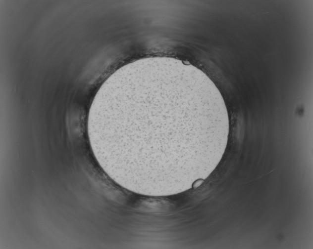 X0000115840712200912242017