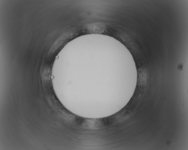 X0000115840713200912242017