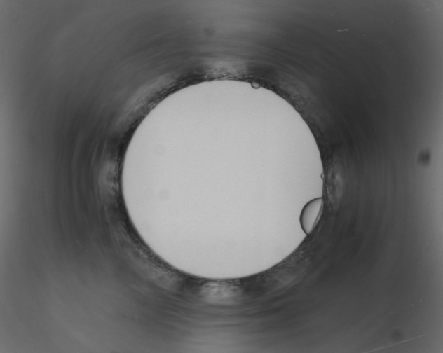 X0000115840714200912242017