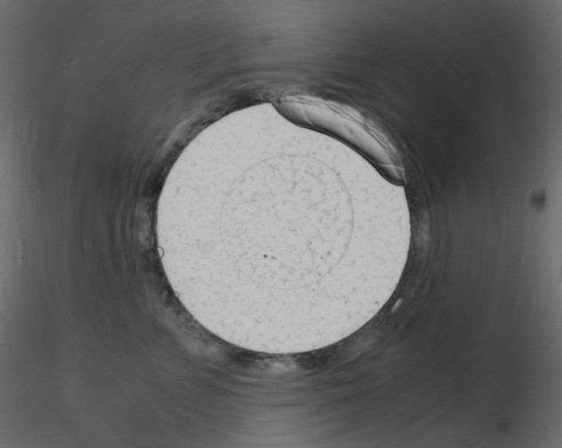 X0000115840715200912242017