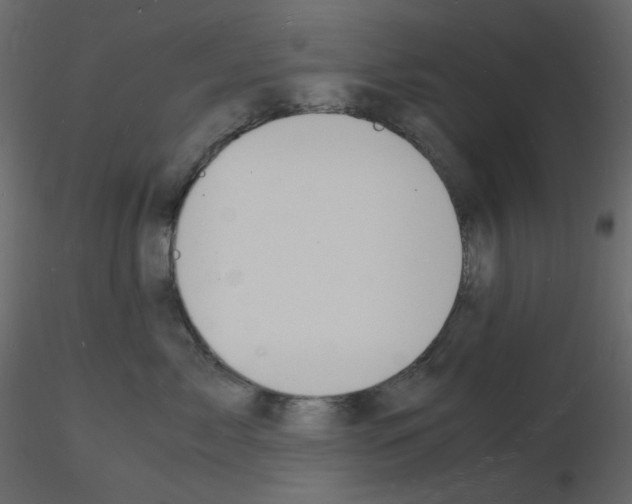 X0000115840717200912242017