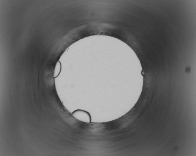 X0000115840719200912242017