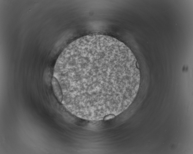 X0000115840720200912242017