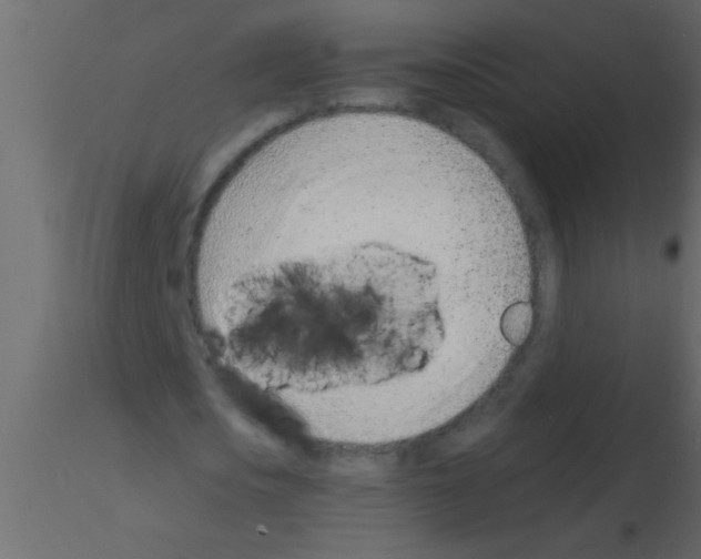 X0000115840721200912242016