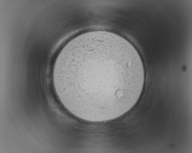 X0000115840722200912242016