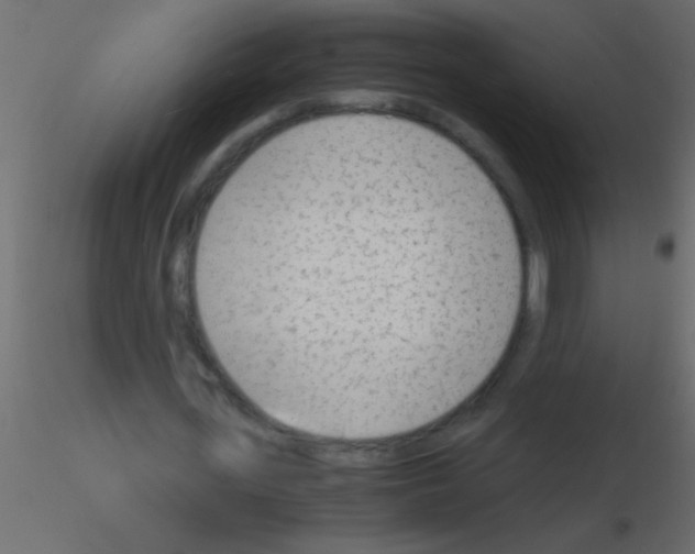 X0000115840723200912242016