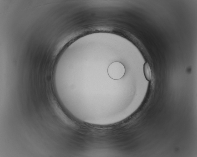 X0000115840725200912242016