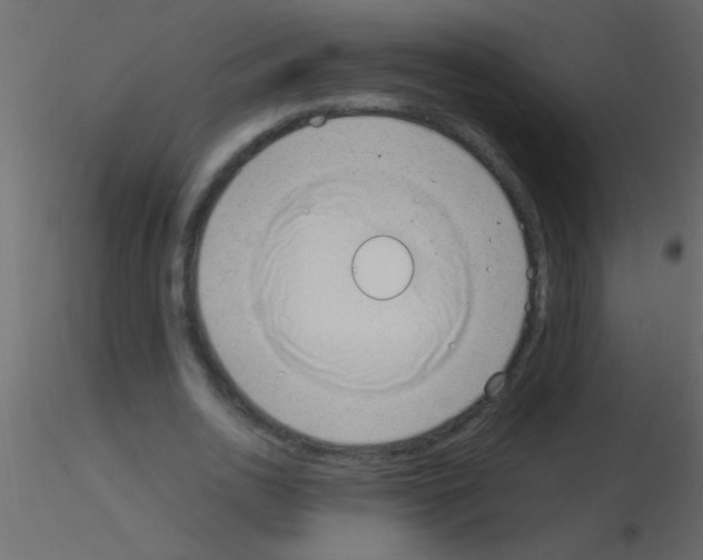 X0000115840726200912242016