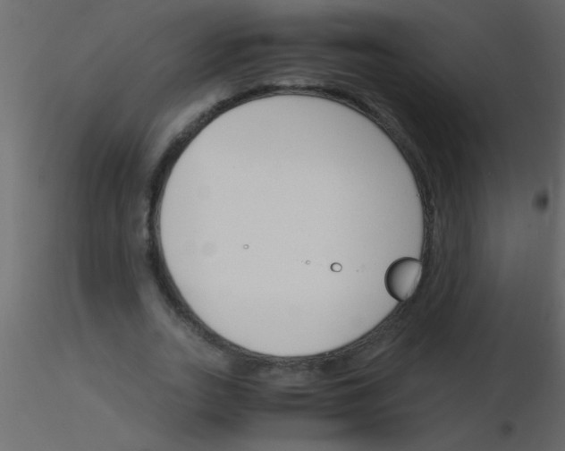 X0000115840727200912242016