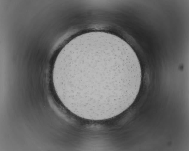 X0000115840730200912242016