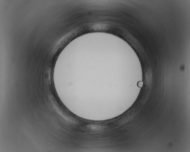 X0000115840733200912242016