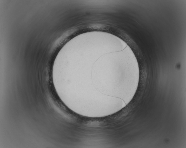 X0000115840734200912242016