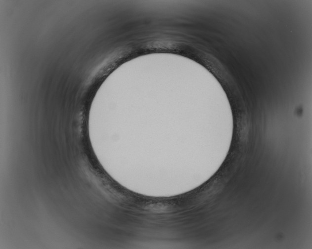 X0000115840735200912242016