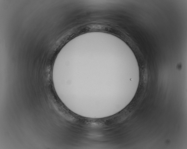 X0000115840737200912242016