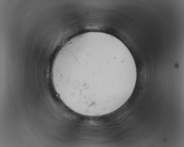 X0000115840739200912242016