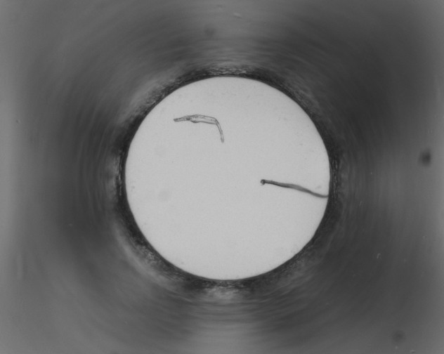 X0000115840742200912242016