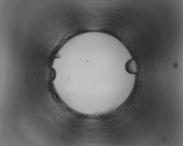 X0000115840743200912242016