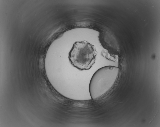 X0000115840745200912242016